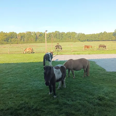 아파트 Eco Nature, A La Ferme *