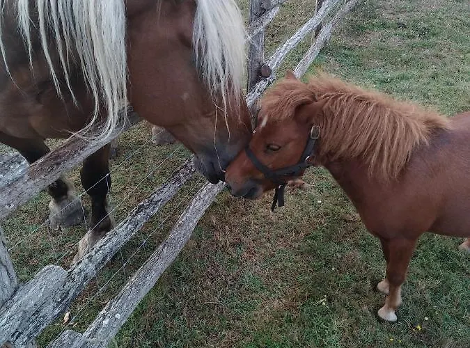 아파트 Eco Nature, A La Ferme