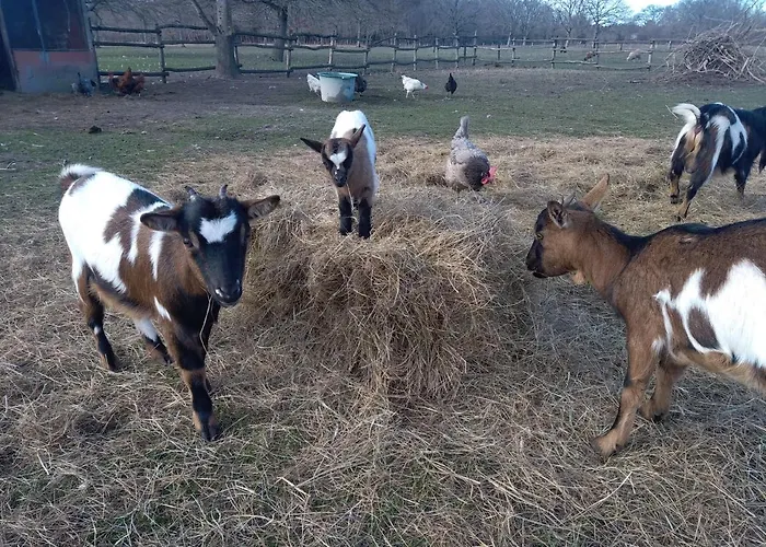 아파트 Eco Nature, A La Ferme