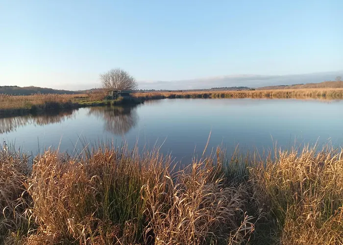 Eco Nature, A La Ferme 방데 몽탈리베